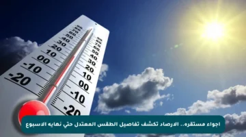أجواء مستقرة.. الأرصاد تكشف تفاصيل الطقس المعتدل حتى نهاية الأسبوع